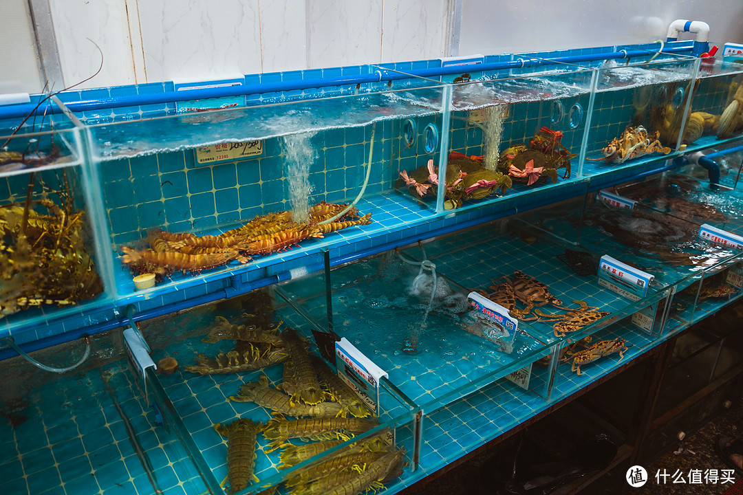 小縣城海鮮生意經 機遇、挑戰與成功之道